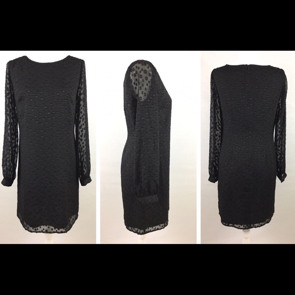 Ann Taylor Womens Sheath Sheer Black Dress Size 2